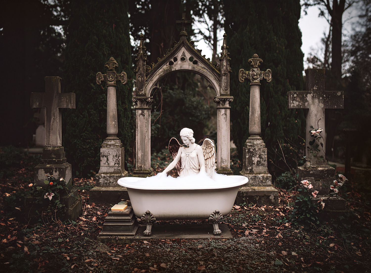 Dark Academia aesthetic photograph featuring a statue of an angel in a  Victorian bathtub surrounded by gravestones in a gothic cemetery, by Apotheca Nocturna.
